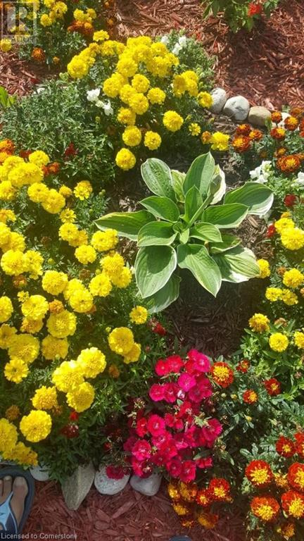 79 Oakes Crescent, Guelph, Ontario  N1E 0J5 - Photo 27 - 40658742