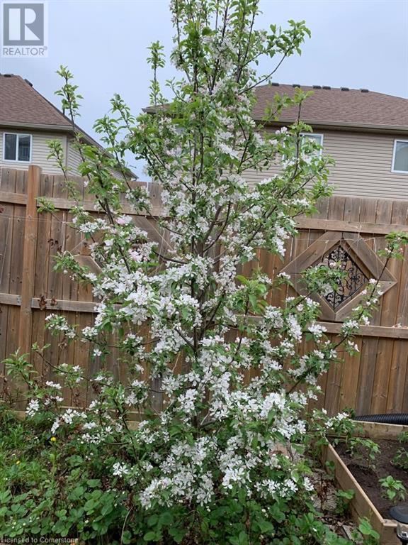 79 Oakes Crescent, Guelph, Ontario  N1E 0J5 - Photo 32 - 40658742