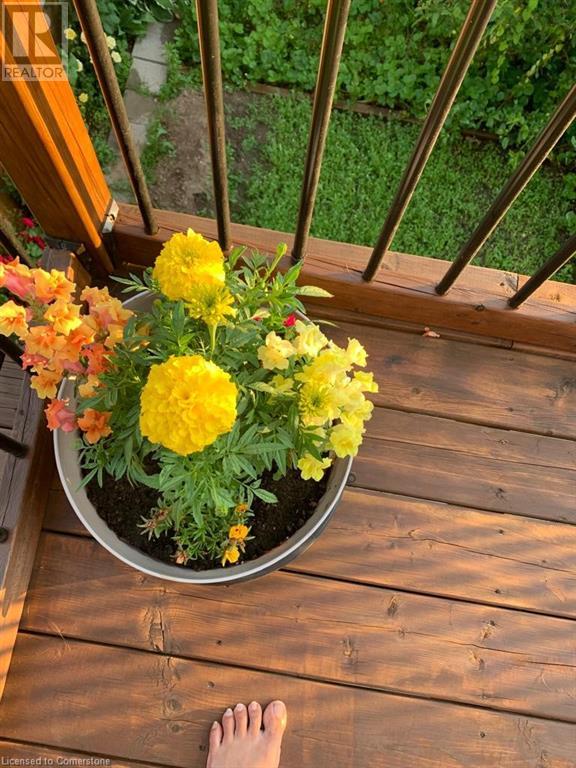 79 Oakes Crescent, Guelph, Ontario  N1E 0J5 - Photo 25 - 40658742