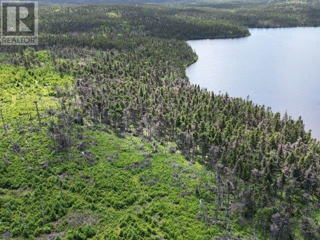 1 Peytons Pond, pouch cove, Newfoundland & Labrador