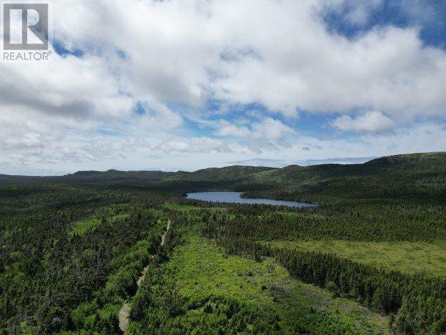 1 Peytons Pond, Pouch Cove, Newfoundland & Labrador  A0A 3L0 - Photo 3 - 1278450