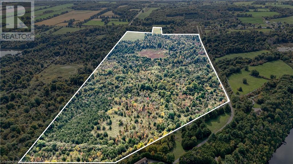 2562 Rutledge Road, Sydenham, Ontario  K0H 2T0 - Photo 8 - 40660726