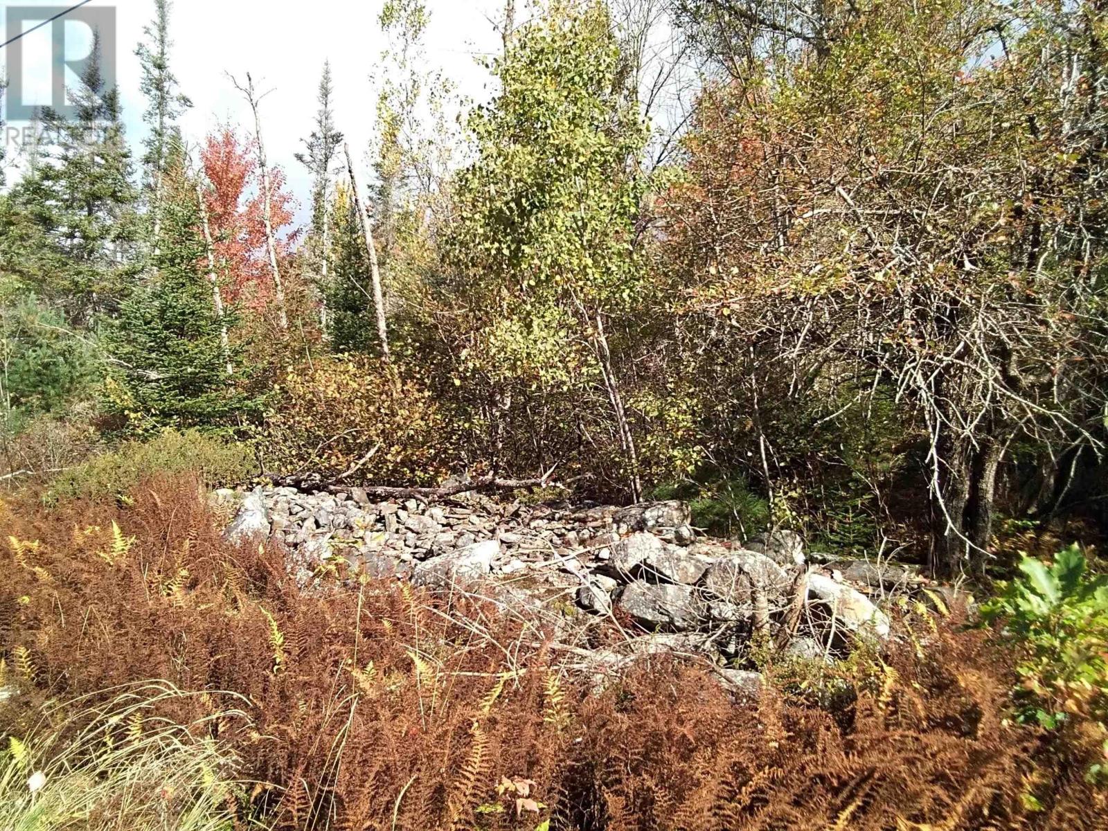 East Clifford Road, East Clifford, Nova Scotia  B4V 1Y7 - Photo 3 - 202424403