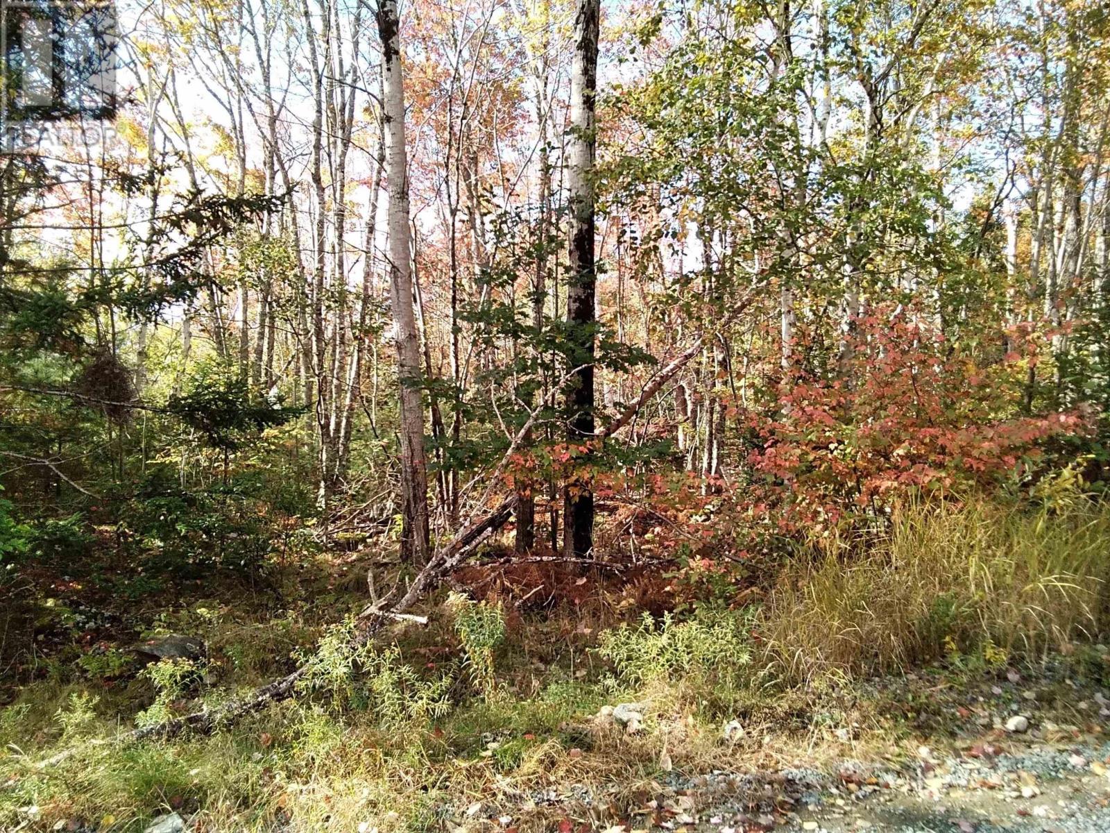 East Clifford Road, East Clifford, Nova Scotia  B4V 1Y7 - Photo 5 - 202424403