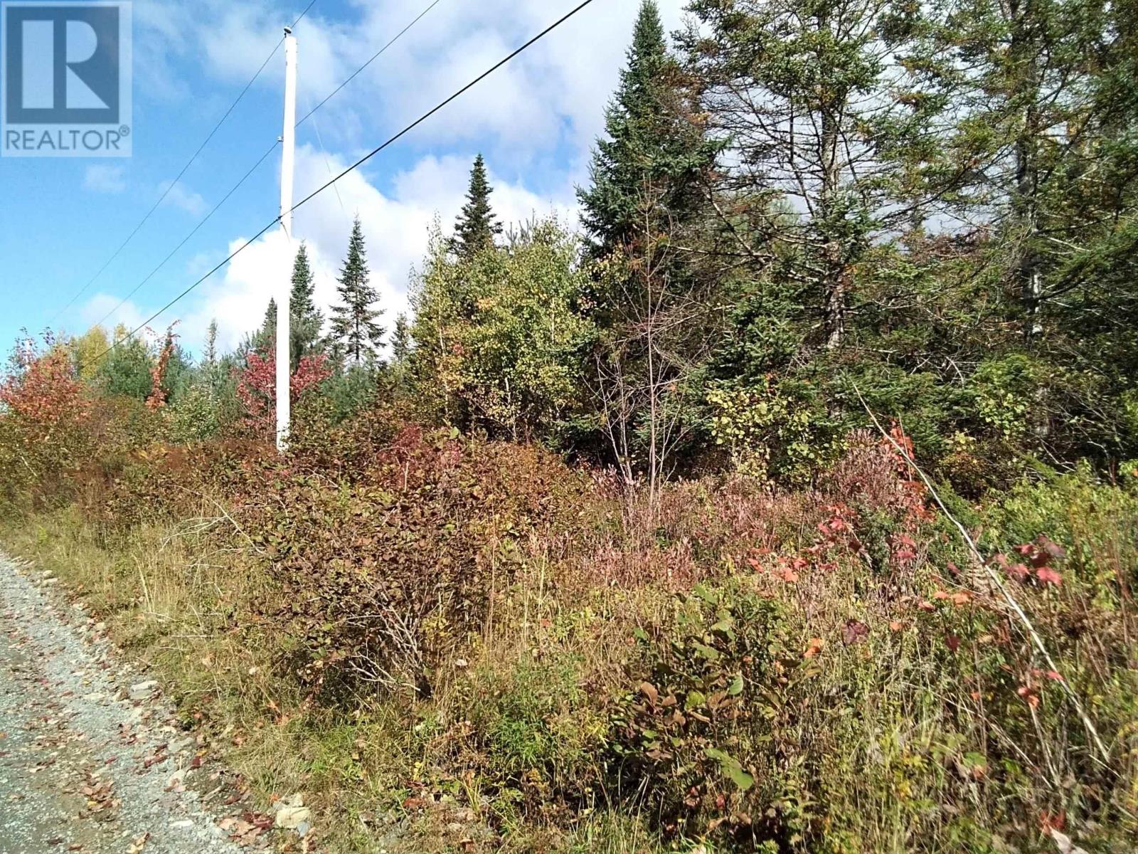 East Clifford Road, East Clifford, Nova Scotia  B4V 1Y7 - Photo 6 - 202424403