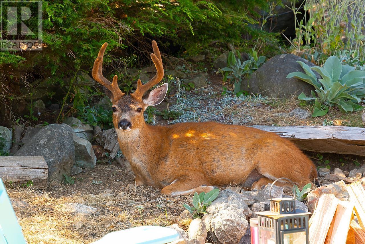 2016 Mount Artaban Road, Gambier Island, British Columbia  V0N 1V0 - Photo 28 - R2857520