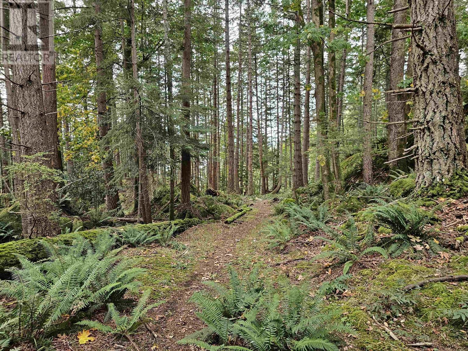 970 Mount Artaban Road, Gambier Island, British Columbia  V0N 1V0 - Photo 30 - R2924095