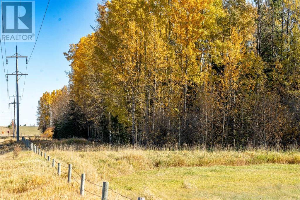 None, Rural Clearwater County, Alberta  T0M 0C0 - Photo 2 - A2172253