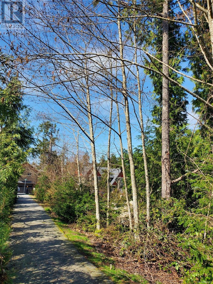 948 Hardy Pl, Tofino, British Columbia  V0R 2Z0 - Photo 6 - 956363