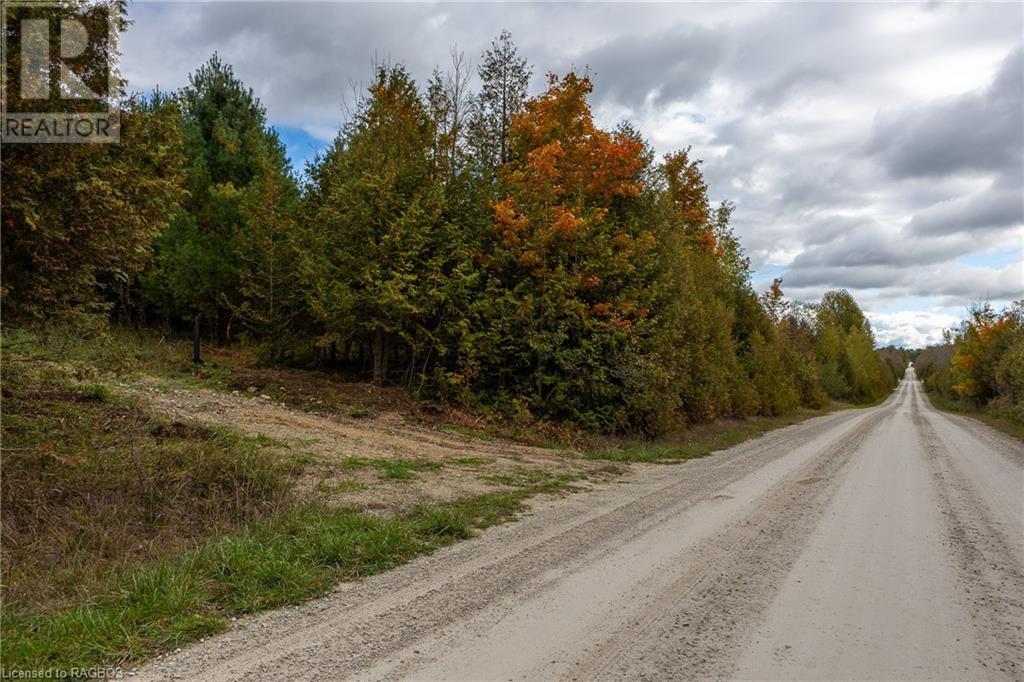 084482 Sideroad 6, Meaford (Municipality), Ontario  N0H 1E0 - Photo 5 - 40661753