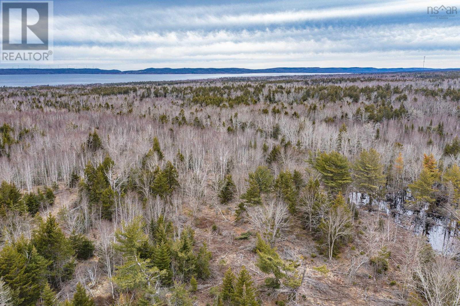 Highway 101, Plympton, Nova Scotia  B0W 3T0 - Photo 20 - 202424419