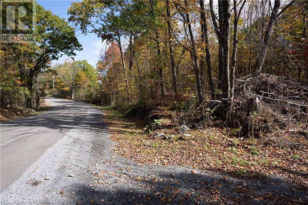 Lt 12 & 13 Devil Lake Road, South Frontenac, Ontario  K0G 1X0 - Photo 11 - 40661793