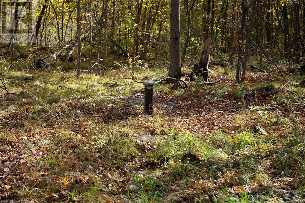 Lt 12 & 13 Devil Lake Road, South Frontenac, Ontario  K0G 1X0 - Photo 16 - 40661793