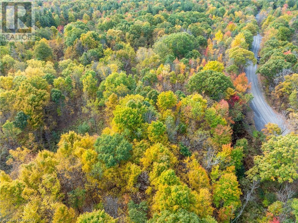 Pt Lots 12 & 13 Devil Lake Road, South Frontenac, Ontario  K0G 1X0 - Photo 20 - X9413105