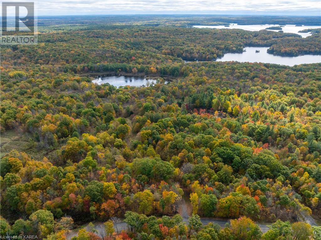 Lt 12 & 13 Devil Lake Road, South Frontenac, Ontario  K0G 1X0 - Photo 22 - 40661793