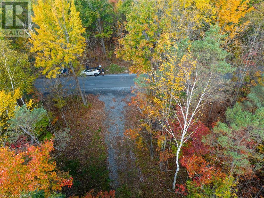 Lt 12 & 13 Devil Lake Road, South Frontenac, Ontario  K0G 1X0 - Photo 29 - 40661793