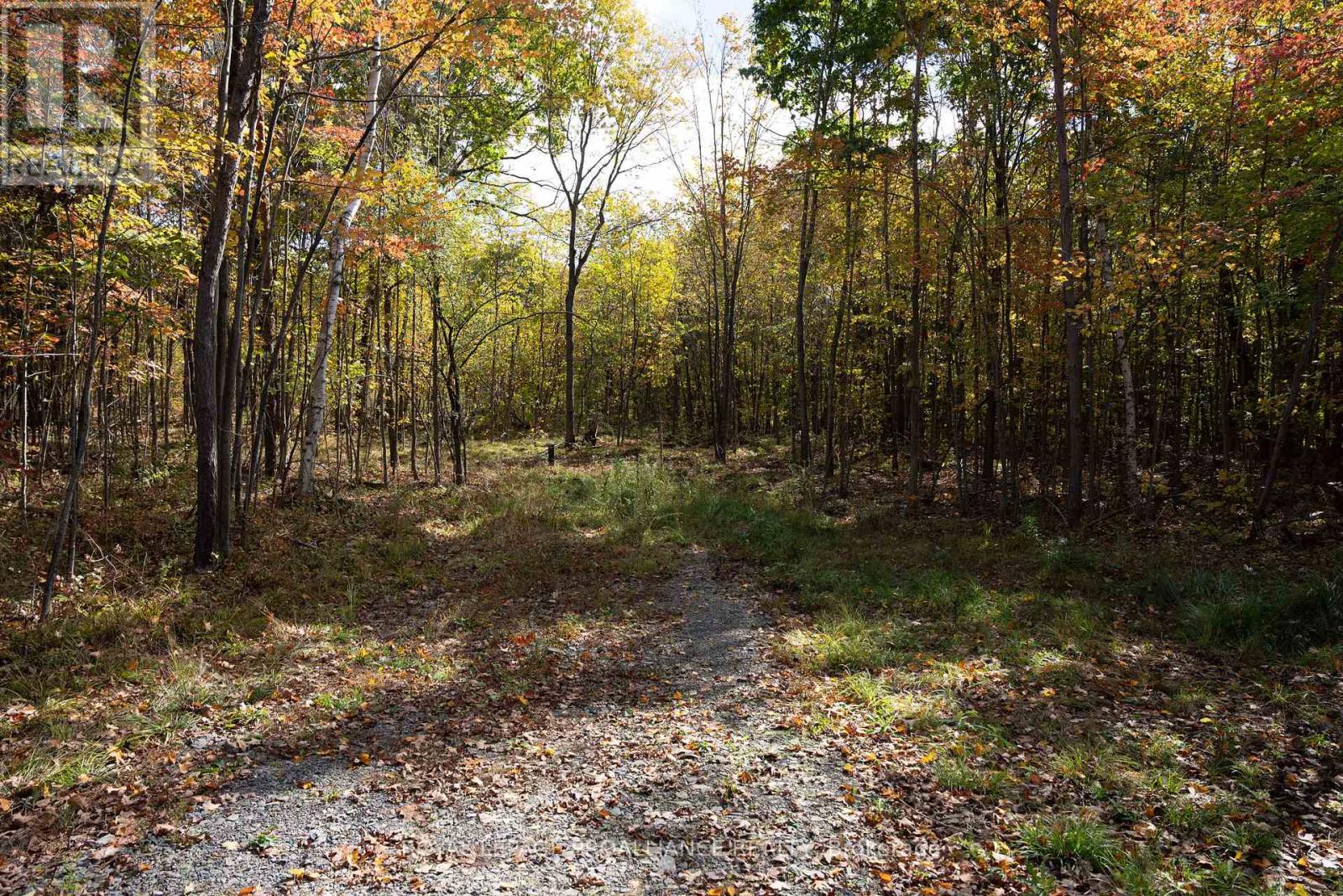 Pl12&13 Devil Lake Road, South Frontenac, Ontario  K0G 1X0 - Photo 14 - X9392471