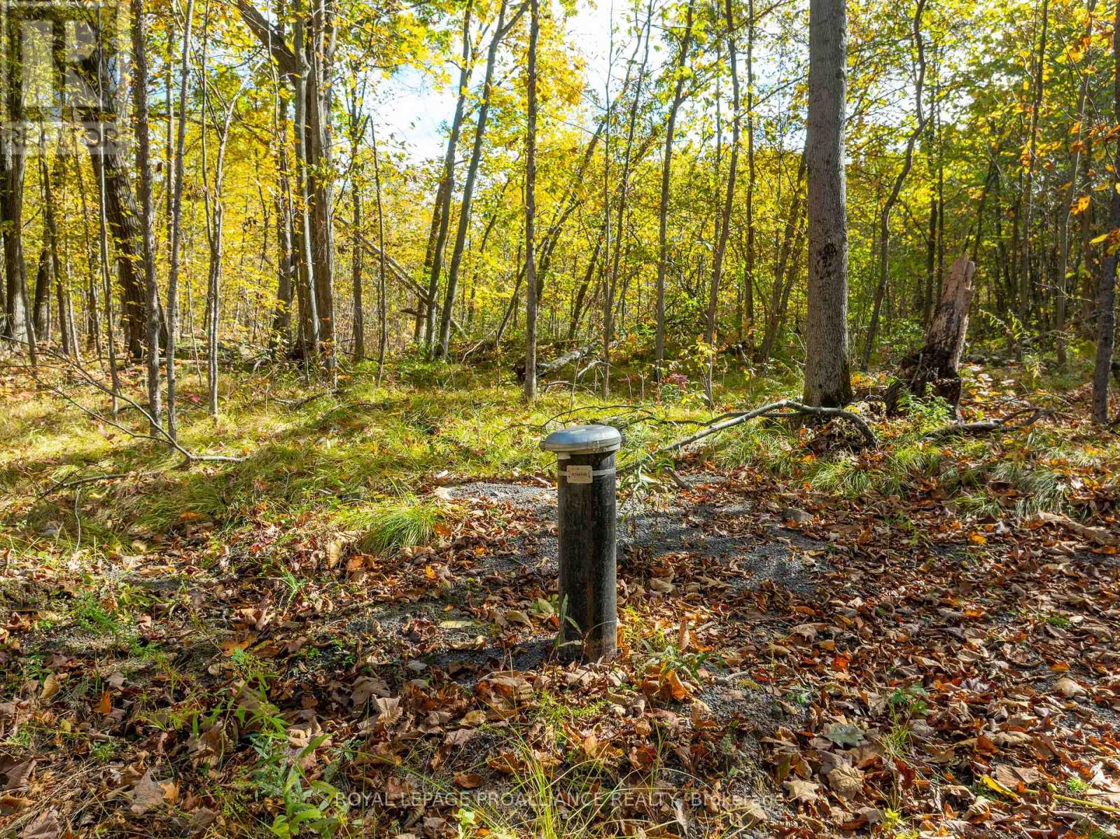 Pl12&13 Devil Lake Road, South Frontenac, Ontario  K0G 1X0 - Photo 9 - X9392471