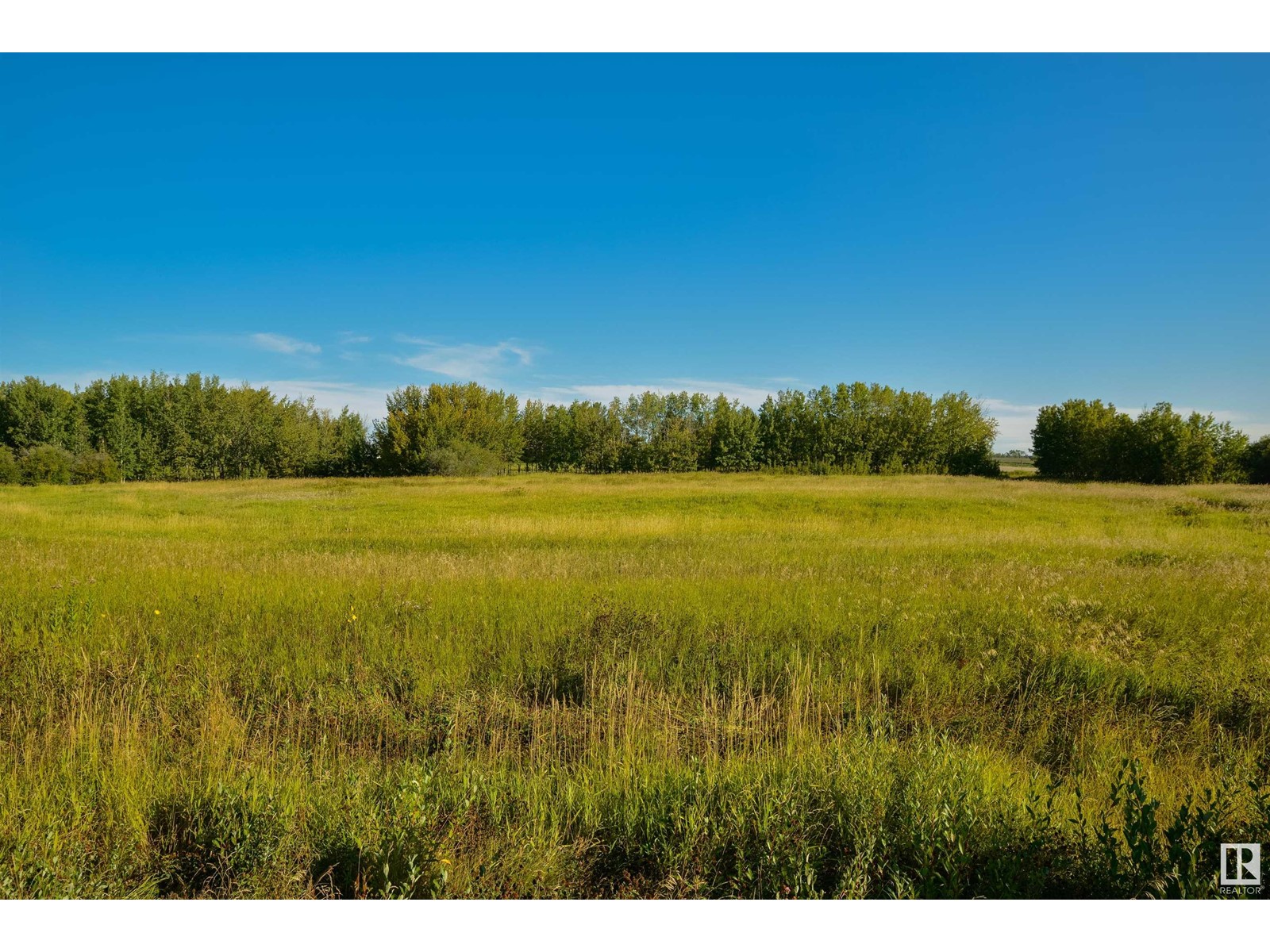 #57 53522 Rge Road 274, Rural Parkland County, Alberta  T7X 3T1 - Photo 6 - E4405408