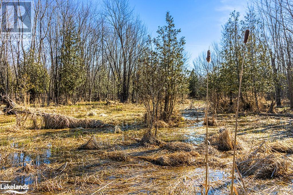 825141 Grey Road 40, Grey Highlands, Ontario N0H 2S0 - Photo 11 - 40661392