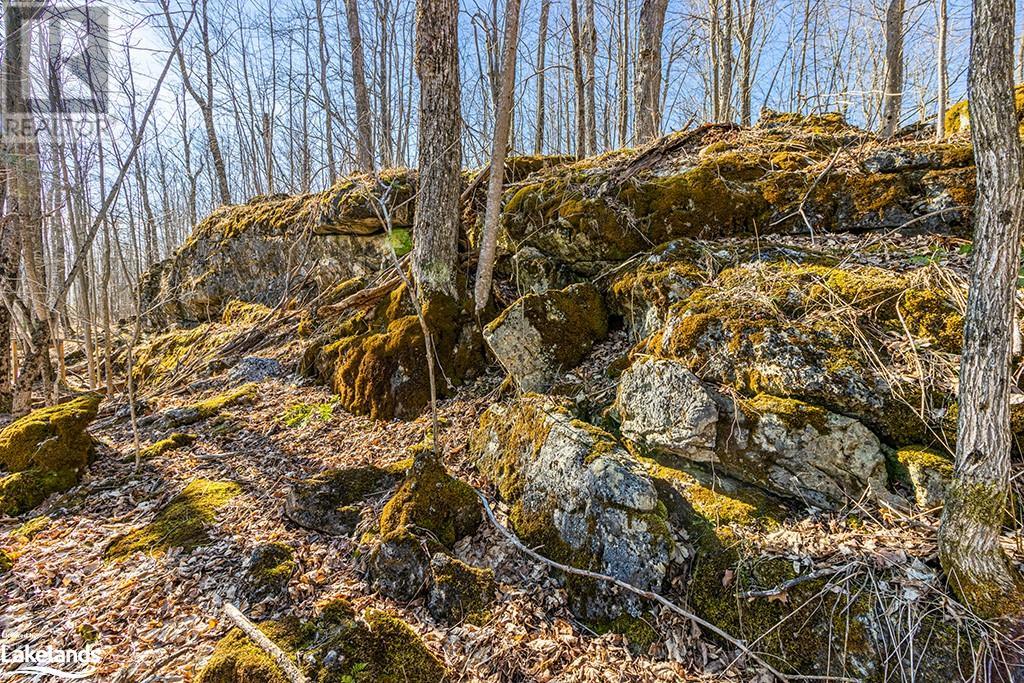 825141 Grey Road 40, Grey Highlands, Ontario N0H 2S0 - Photo 13 - 40661392