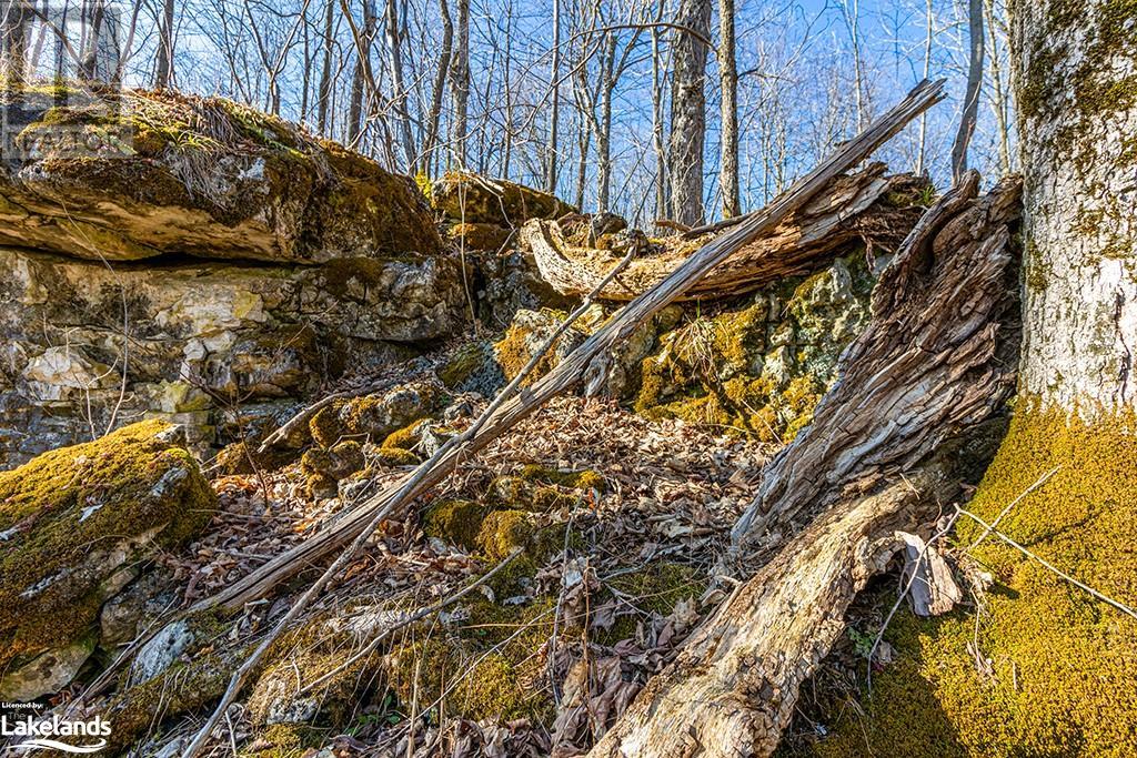 825141 Grey Road 40, Grey Highlands, Ontario N0H 2S0 - Photo 14 - 40661392