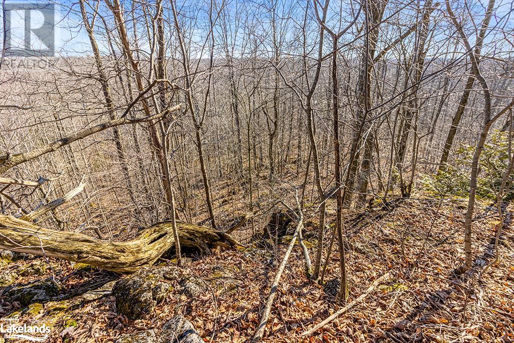 825141 Grey Road 40, Grey Highlands, Ontario N0H 2S0 - Photo 18 - 40661392