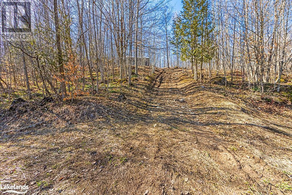 825141 Grey Road 40, Grey Highlands, Ontario N0H 2S0 - Photo 19 - 40661392