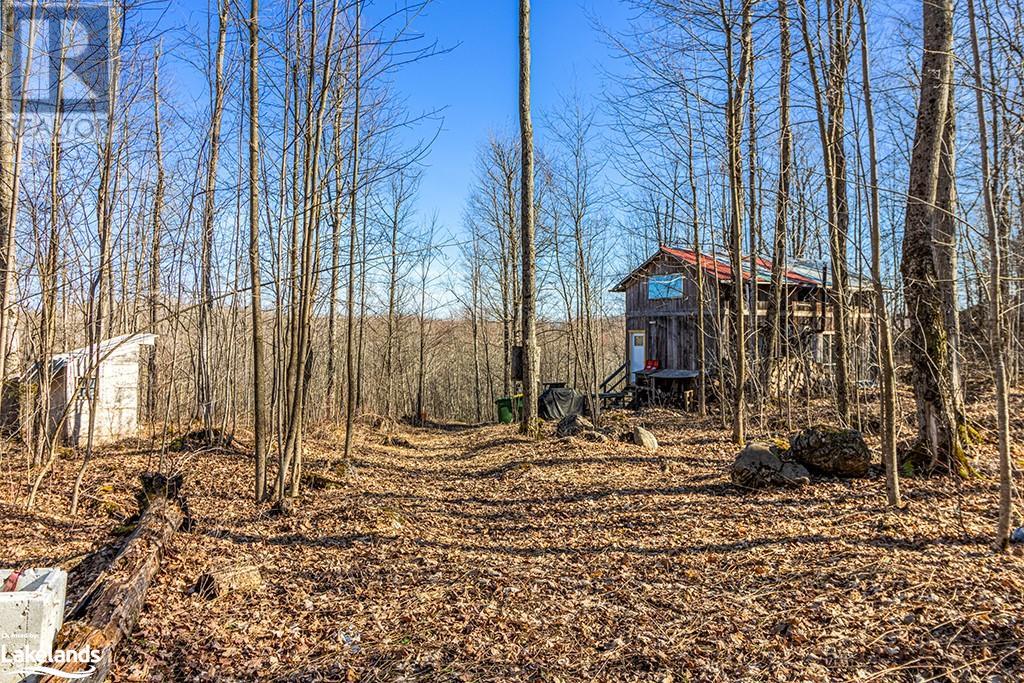 825141 Grey Road 40, Grey Highlands, Ontario N0H 2S0 - Photo 20 - 40661392