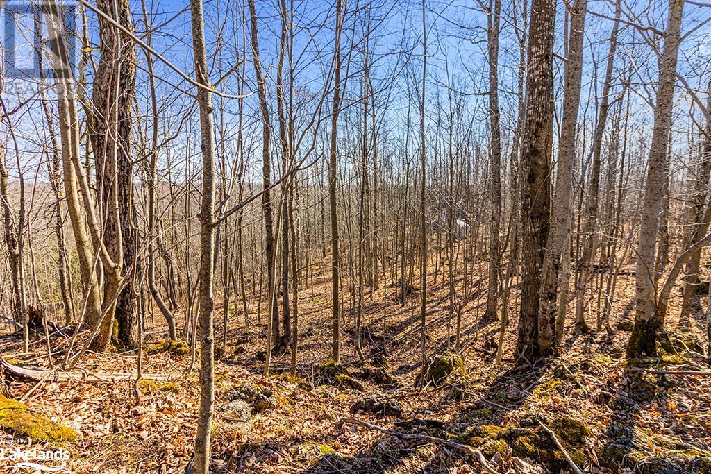 825141 Grey Road 40, Grey Highlands, Ontario N0H 2S0 - Photo 38 - 40661392