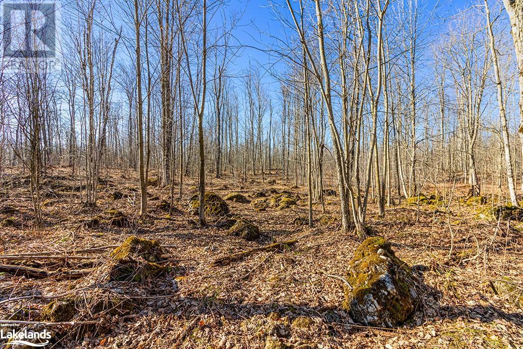 825141 Grey Road 40, Grey Highlands, Ontario N0H 2S0 - Photo 39 - 40661392