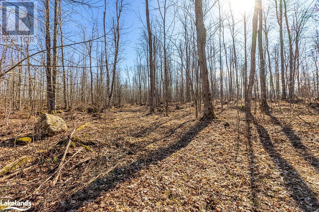 825141 Grey Road 40, Grey Highlands, Ontario N0H 2S0 - Photo 40 - 40661392