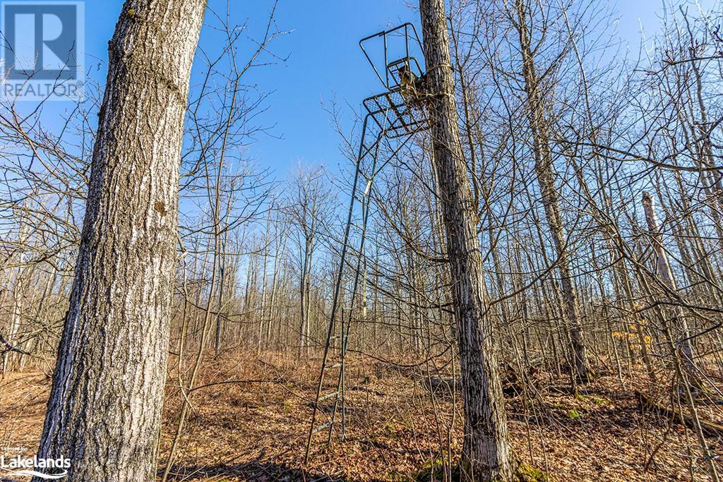 825141 Grey Road 40, Grey Highlands, Ontario N0H 2S0 - Photo 42 - 40661392