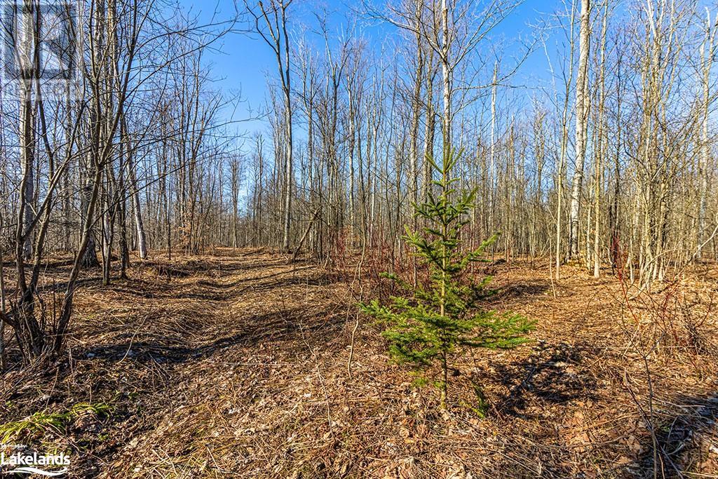 825141 Grey Road 40, Grey Highlands, Ontario N0H 2S0 - Photo 43 - 40661392