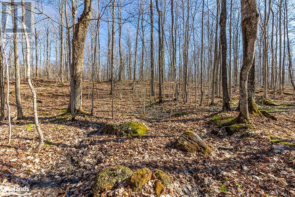 825141 Grey Road 40, Grey Highlands, Ontario N0H 2S0 - Photo 44 - 40661392