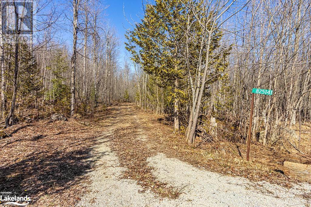 825141 Grey Road 40, Grey Highlands, Ontario N0H 2S0 - Photo 5 - 40661392