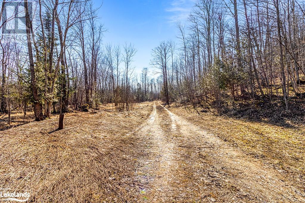 825141 Grey Road 40, Grey Highlands, Ontario N0H 2S0 - Photo 6 - 40661392