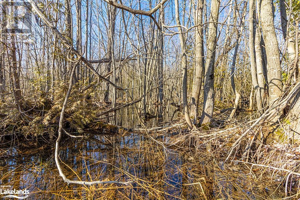 825141 Grey Road 40, Grey Highlands, Ontario N0H 2S0 - Photo 9 - 40661392