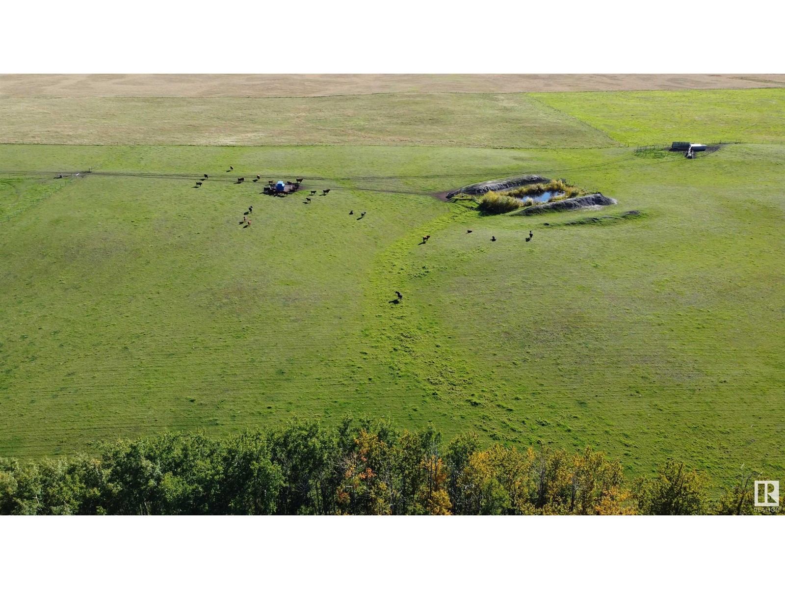 Township 481 Range Road 263, Rural Leduc County, Alberta  T0C 0V0 - Photo 8 - E4410036