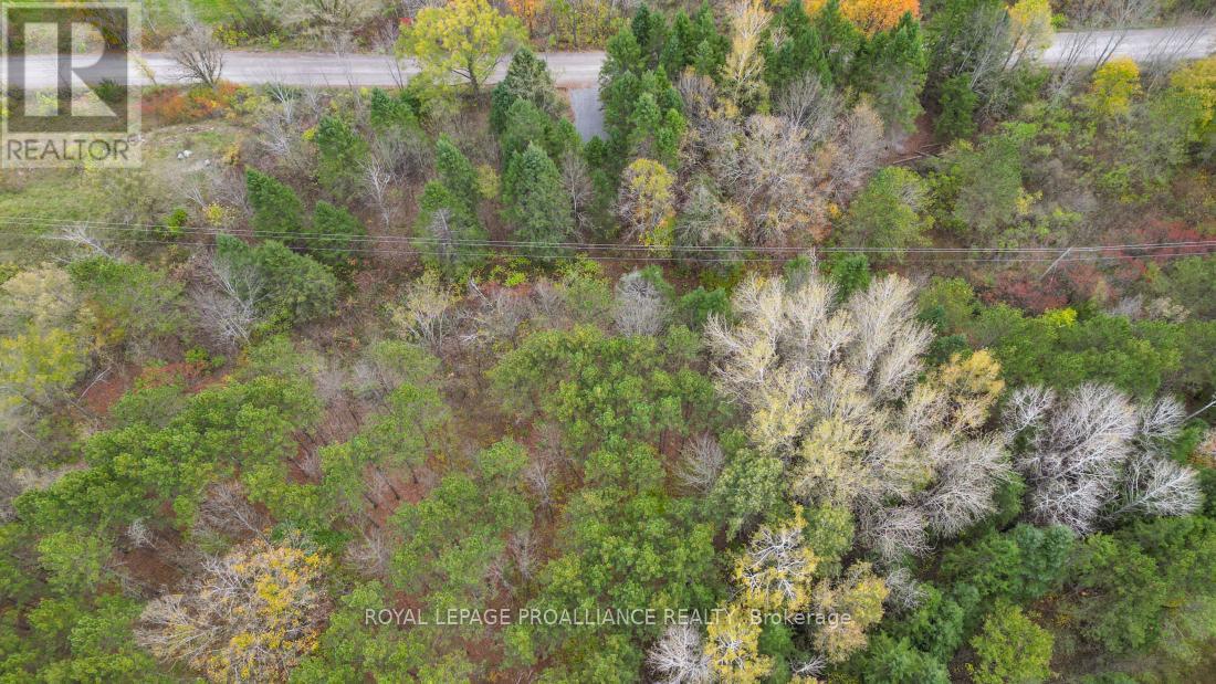 0 Otter Creek Road, Tweed, Ontario  K0K 3J0 - Photo 10 - X9393004