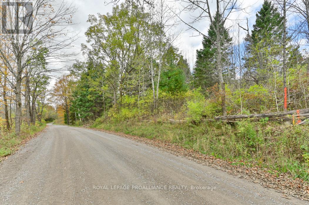 0 Otter Creek Road, Tweed, Ontario  K0K 3J0 - Photo 2 - X9393004