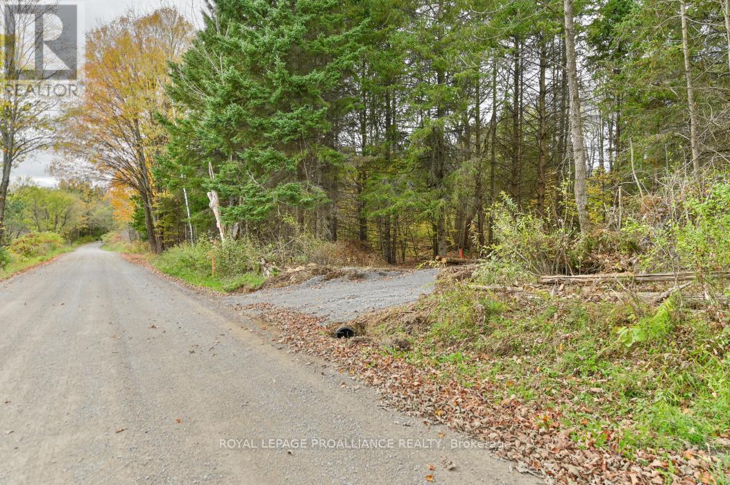 0 Otter Creek Road, Tweed, Ontario  K0K 3J0 - Photo 3 - X9393004