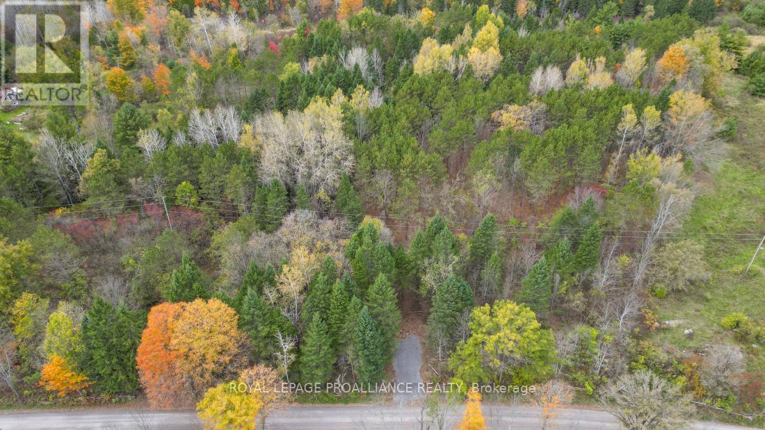 0 Otter Creek Road, Tweed, Ontario  K0K 3J0 - Photo 6 - X9393004