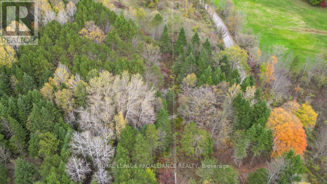 0 Otter Creek Road, Tweed, Ontario  K0K 3J0 - Photo 8 - X9393004