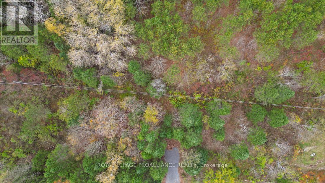 0 Otter Creek Road, Tweed, Ontario  K0K 3J0 - Photo 9 - X9393004
