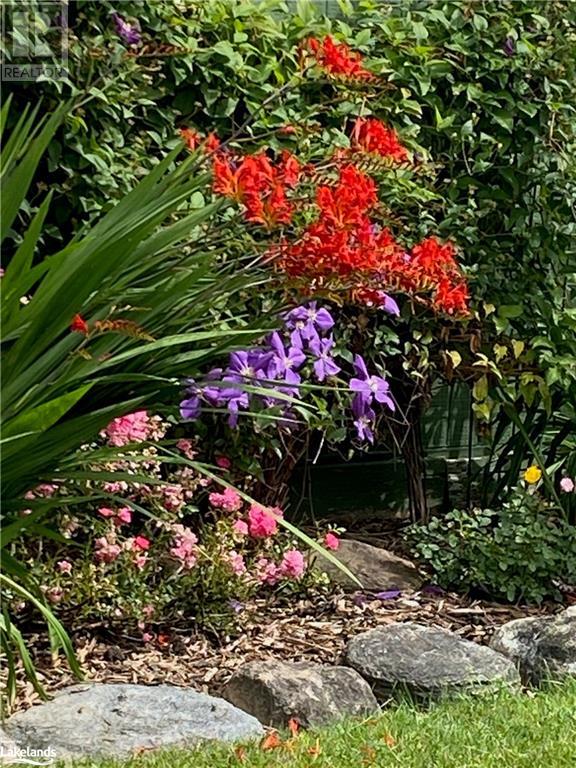 7558 County Road 91 Road, Stayner, Ontario  L0M 1S0 - Photo 38 - 40658917