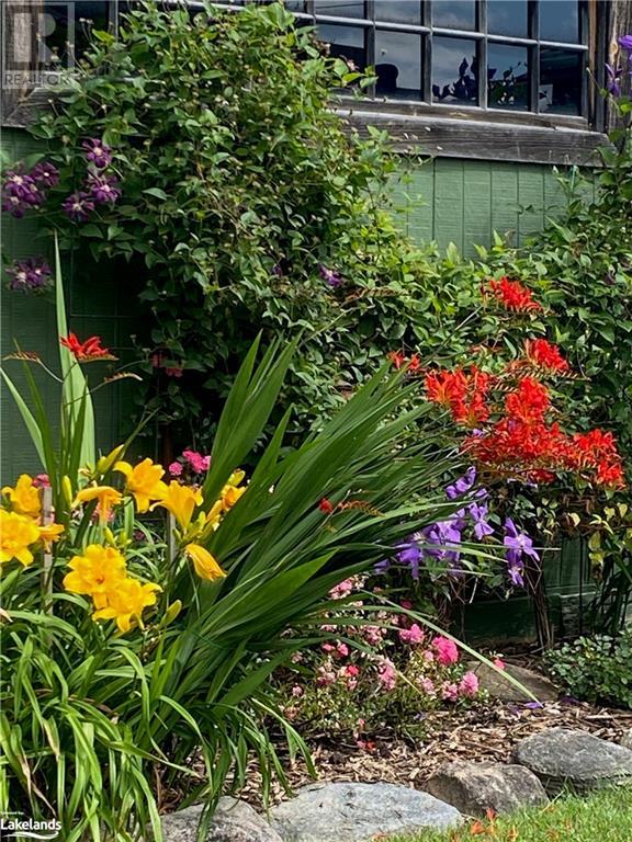 7558 County Road 91 Road, Stayner, Ontario  L0M 1S0 - Photo 40 - 40658917