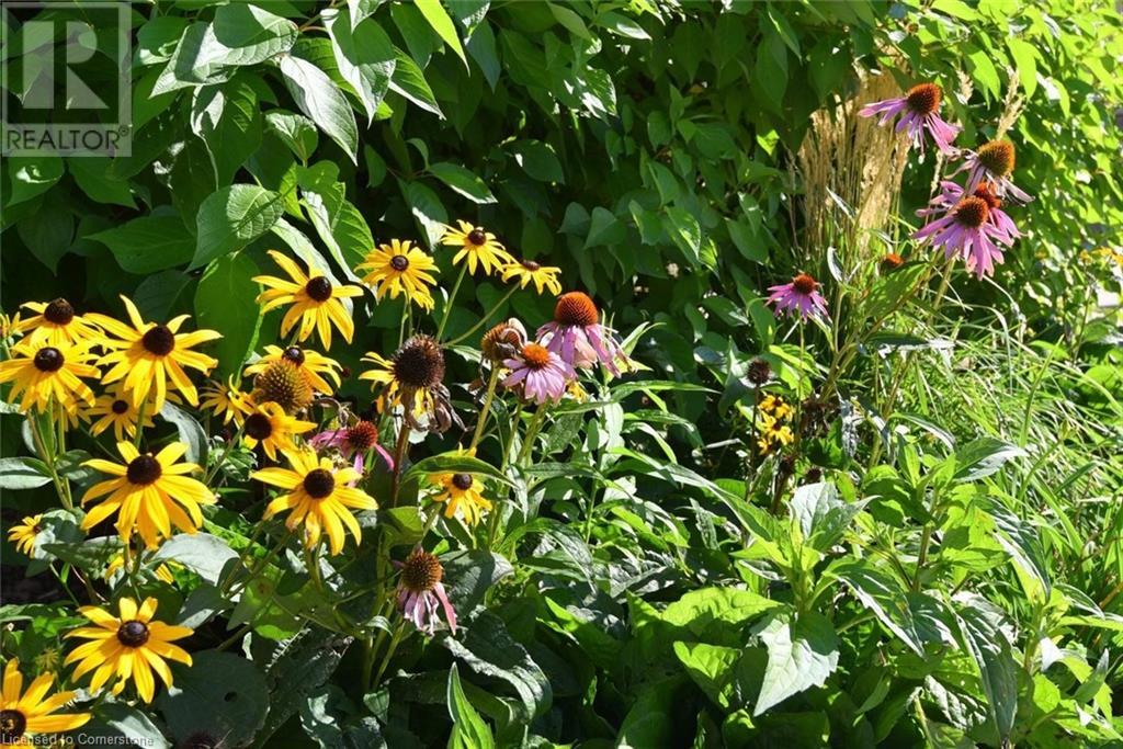 101 Shoreview Place Unit# 214, Stoney Creek, Ontario  L8E 0K3 - Photo 31 - 40661917