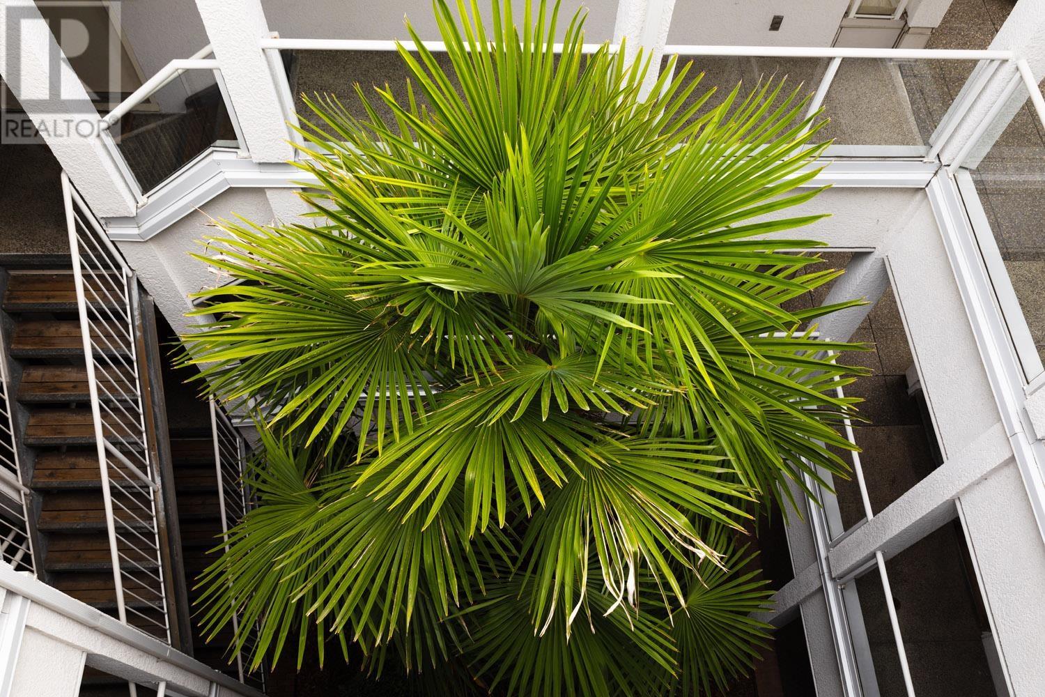 Listing Picture 34 of 37 : PH20 2175 W 3RD AVENUE, Vancouver / 溫哥華 - 魯藝地產 Yvonne Lu Group - MLS Medallion Club Member