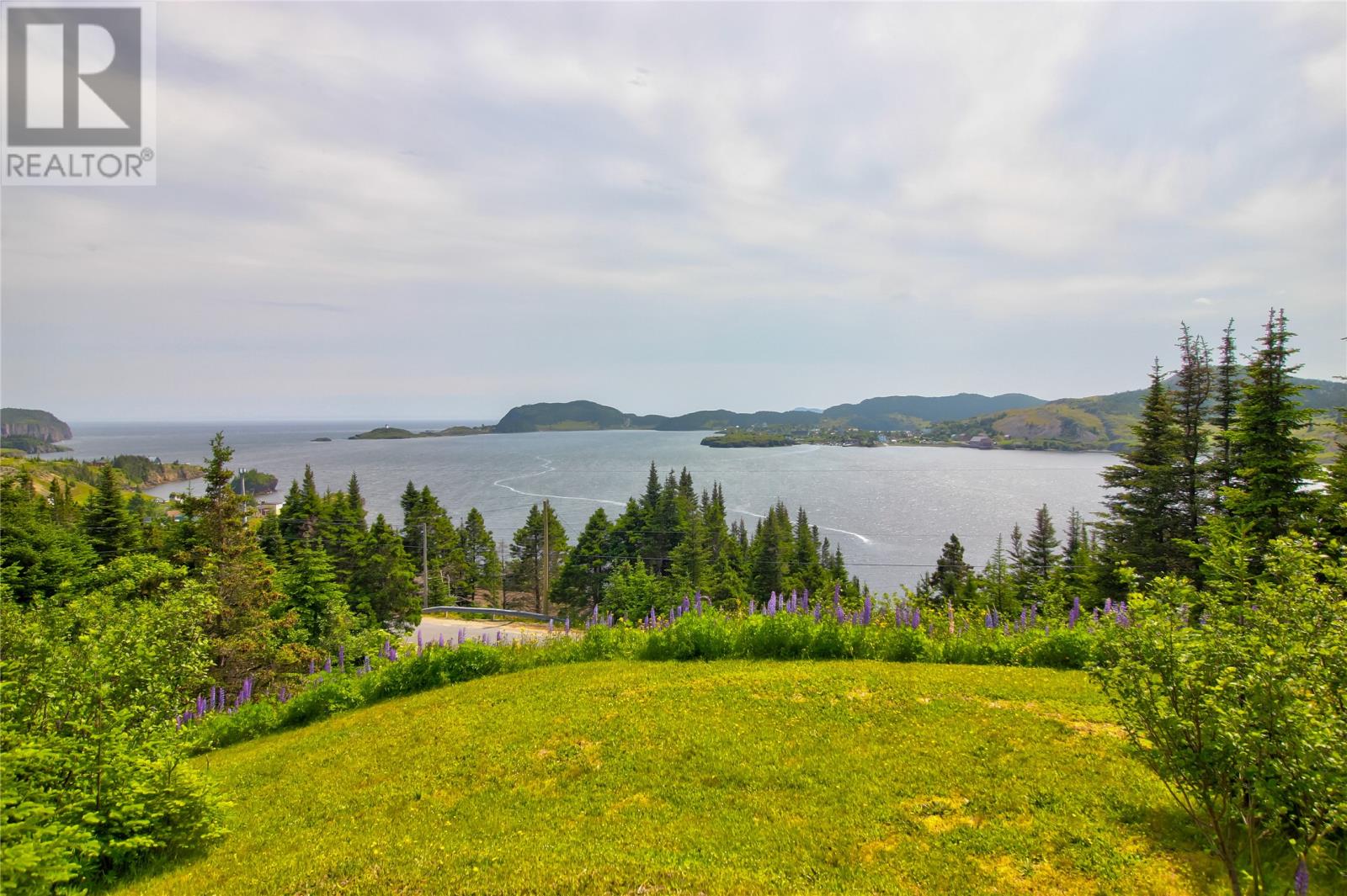 0 Rocky Hill Road, Port Rexton, Newfoundland & Labrador  A0C 2H0 - Photo 10 - 1278565